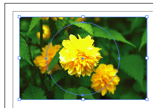 �摜�̃}�X�N2